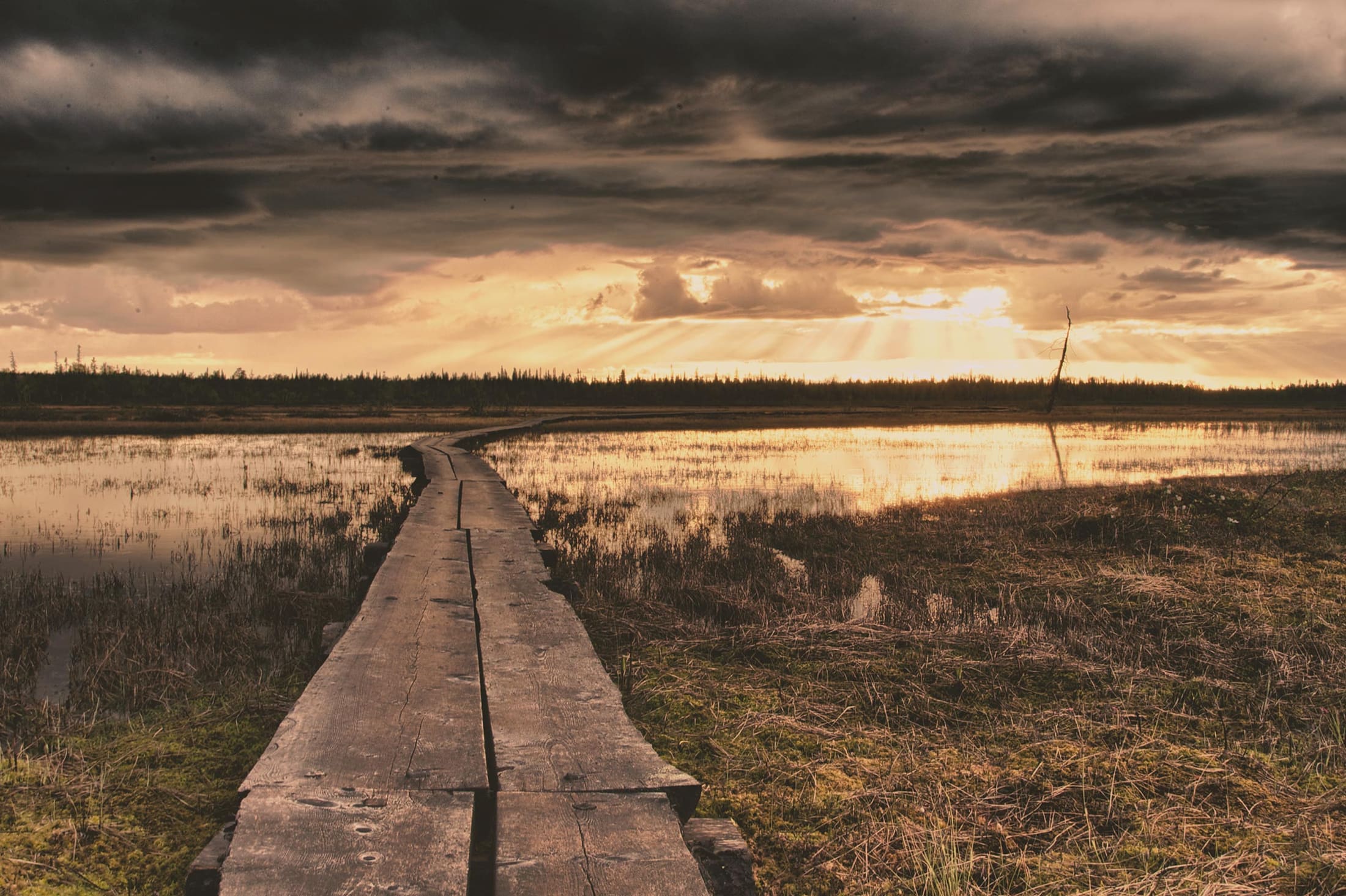 Wooden boardwalk across a marsh at sunset, Saariselkä, Finland
